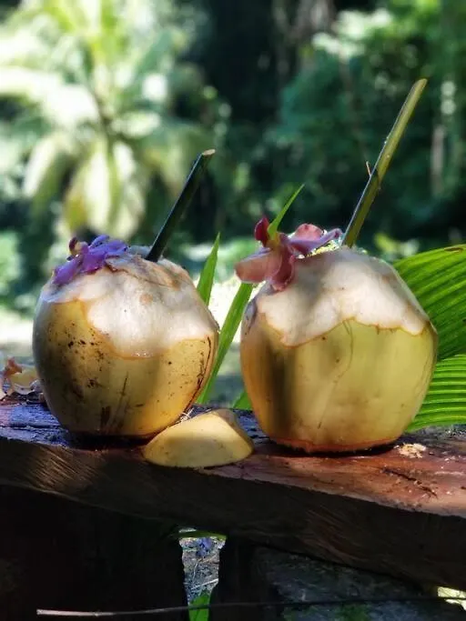 אוצ'ו ריוס Ecoscape Jamaica - Cottages By The River אוצ'ו ריוס