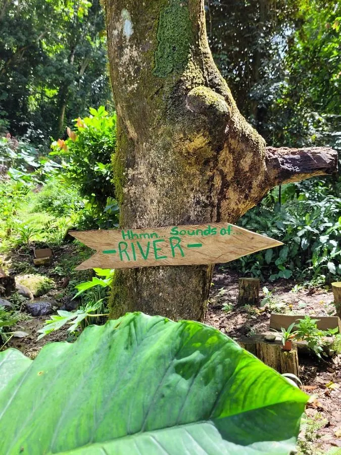 בית נופש אוצ'ו ריוס Ecoscape Jamaica - Cottages By The River