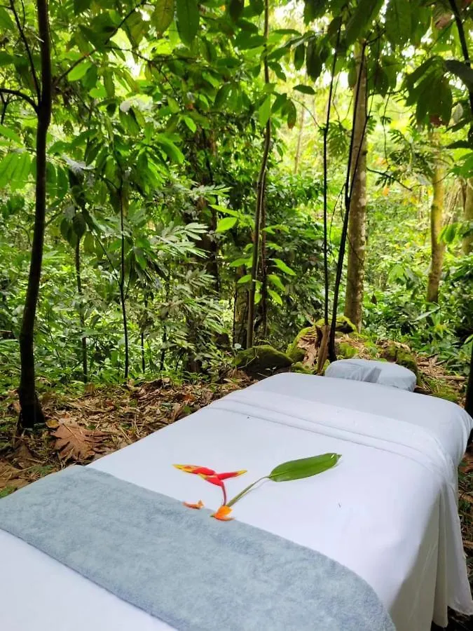 בית נופש אוצ'ו ריוס Ecoscape Jamaica - Cottages By The River