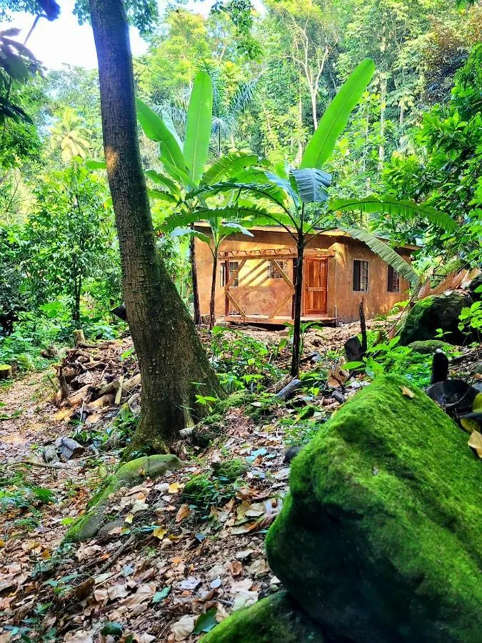 בית נופש אוצ'ו ריוס Ecoscape Jamaica - Cottages By The River