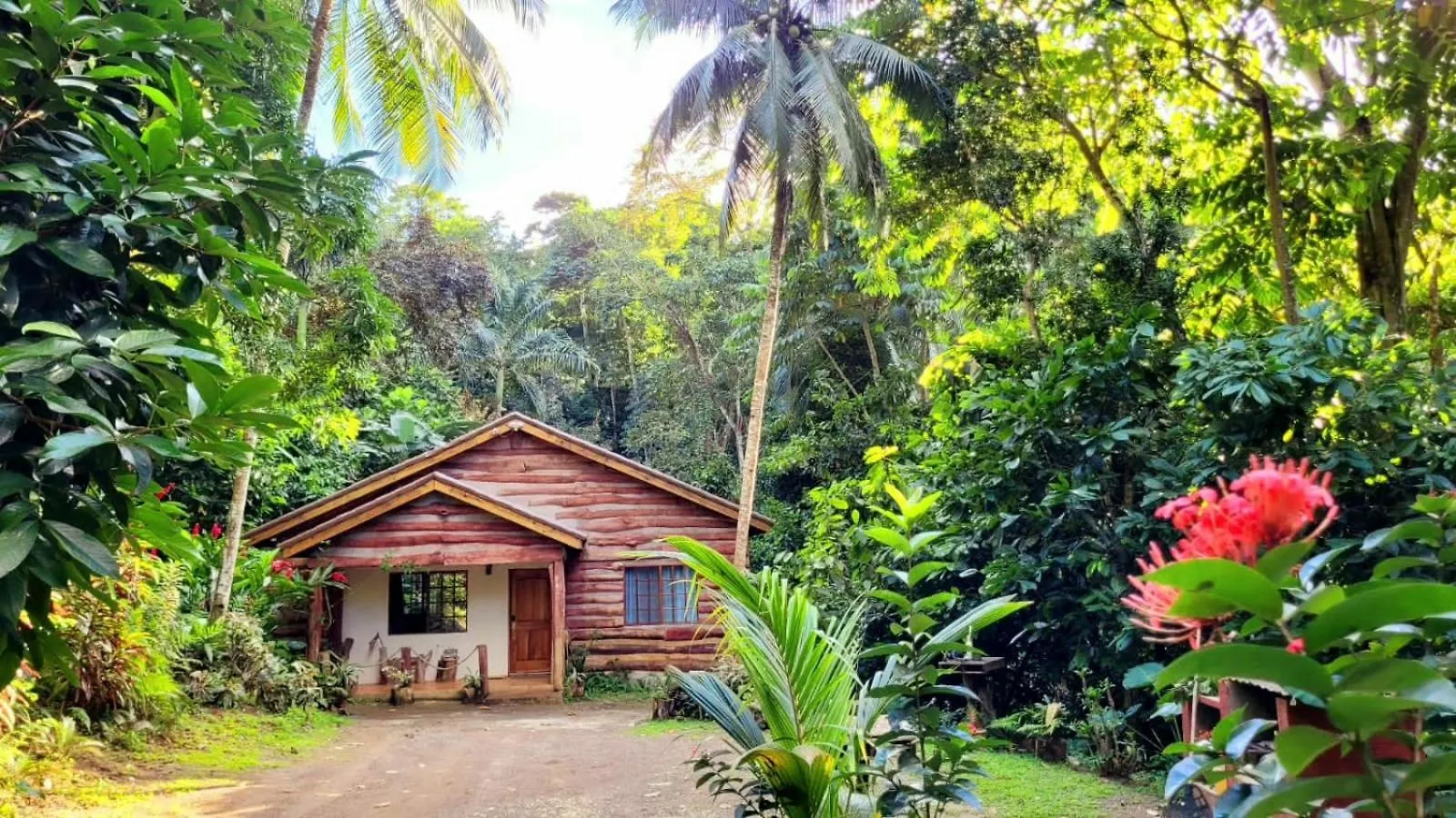 הקונטקטים של Ecoscape Jamaica - Cottages By The River