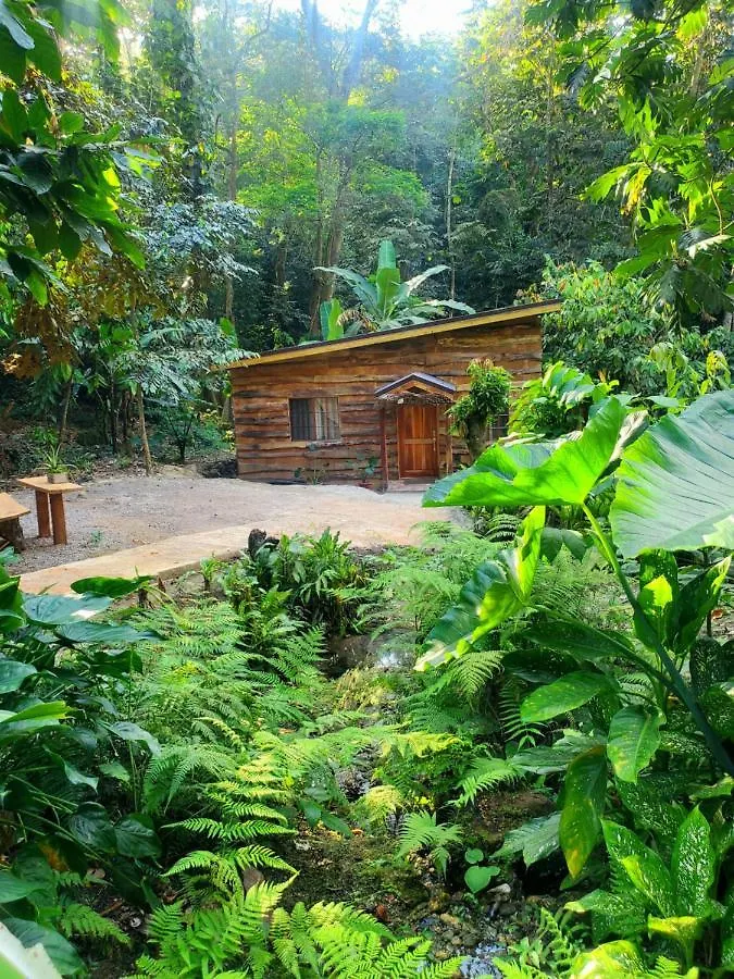 Ecoscape Jamaica - Cottages By The River Ocho Rios 0*,
