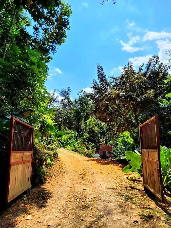 Holiday home Ecoscape Jamaica - Cottages By The River Ocho Rios Jamaica