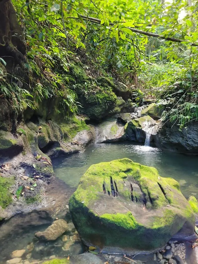 Ecoscape Jamaica - Cottages By The River Ocho Rios Prázdninový dům