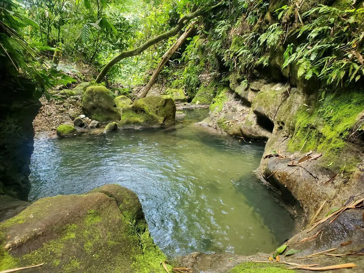 Ecoscape Jamaica - Cottages By The River Ocho Rios 0*,  Jamajka