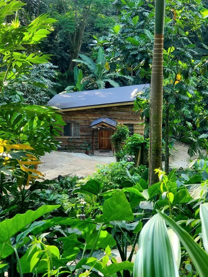 Ecoscape Jamaica - Cottages By The River Ocho Rios Jamajka