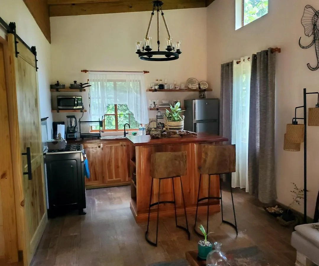 Ecoscape Jamaica - Cottages By The River Ocho Rios